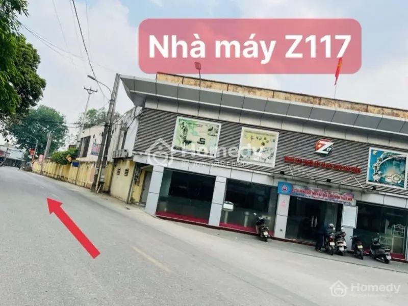 6037889 ảnh đại diện 1