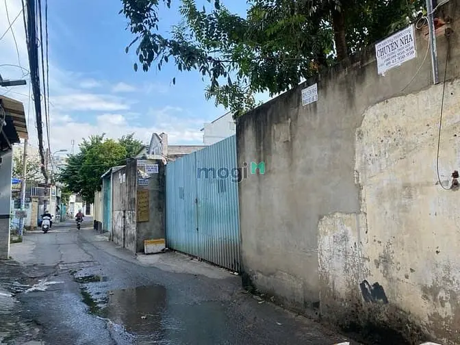 6037932 ảnh đại diện 1