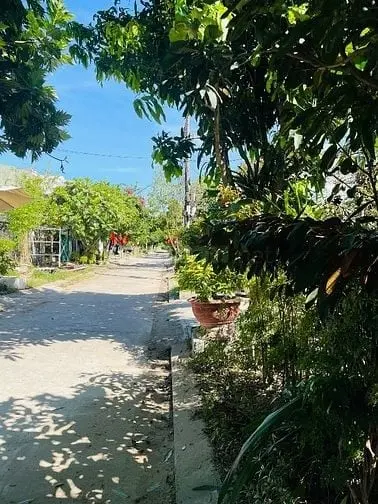 6038043 ảnh đại diện 1
