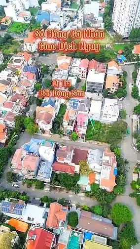 6038110 ảnh đại diện 1