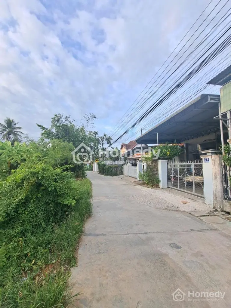 6038184 ảnh đại diện 1