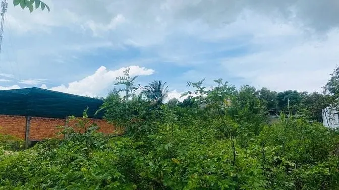Bán Đất 6X37(224M2) Đoàn Thị Điểm Tân An Lagi Giá Ngộp