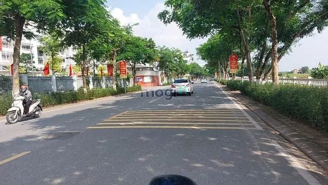 6038144 ảnh đại diện 1