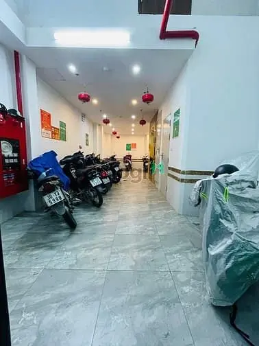 6037930 ảnh đại diện 1