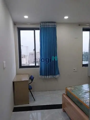 6038165 ảnh đại diện 1