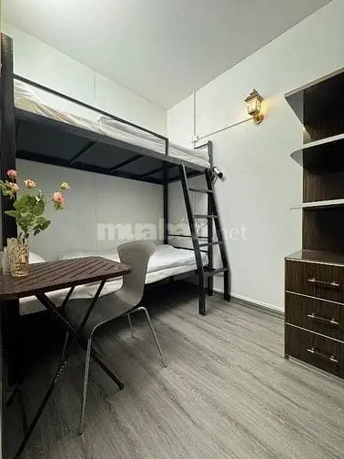 6038064 ảnh đại diện 1