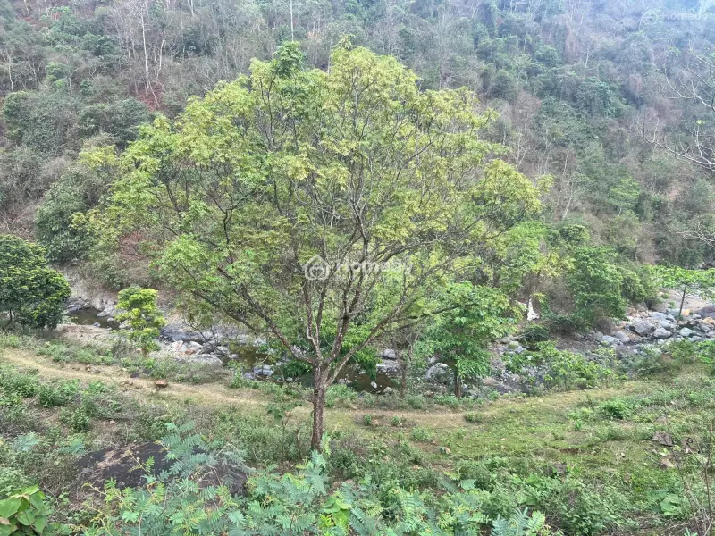 🌿 Bán Đất Hiếm - Vị Trí Đẹp Nhất Khu Du Lịch Thác Thăng Thiên🌿