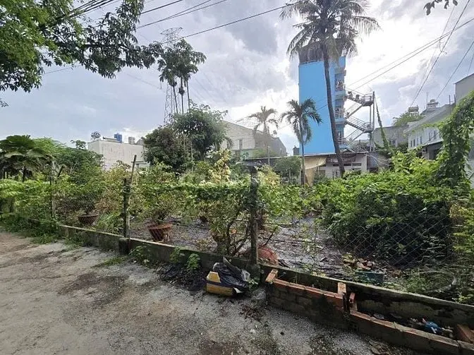 6037936 ảnh đại diện 1