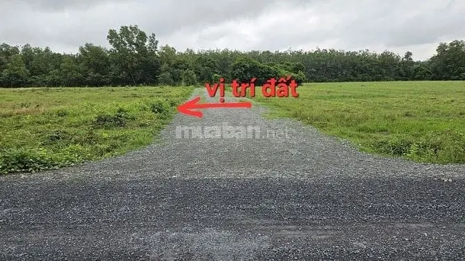 6038112 ảnh đại diện 1