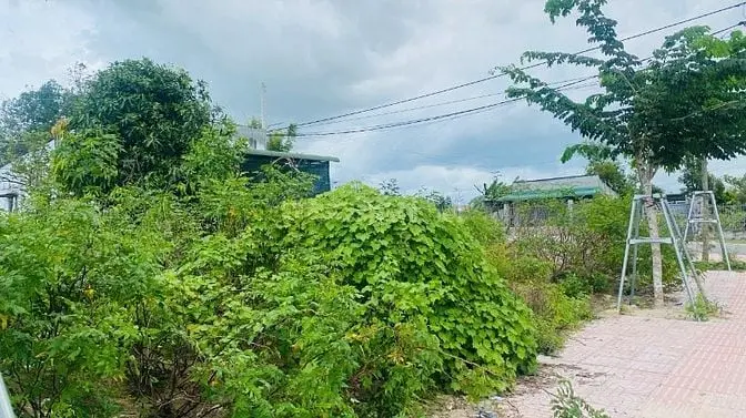 Bán Đất 6X37(224M2) Đoàn Thị Điểm Tân An Lagi Giá Ngộp