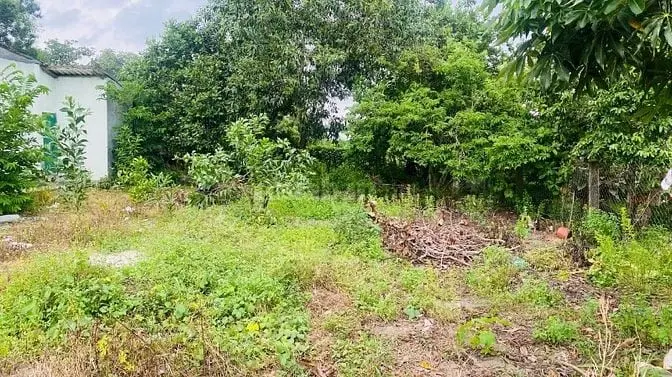 6X28(170M2) 50M2 Tc Trưng Trắc Tân An Lagi Giá Đầu Tư