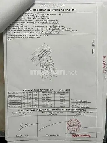 6037900 ảnh đại diện 1