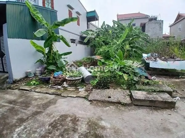 6037911 ảnh đại diện 1