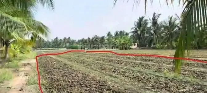 Tôi Chủ. Bán Đất Chợ Gạo, Tiền Giang. Giá Rẻ 1200M2 660Tr