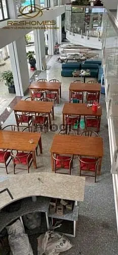 6038116 ảnh đại diện 1