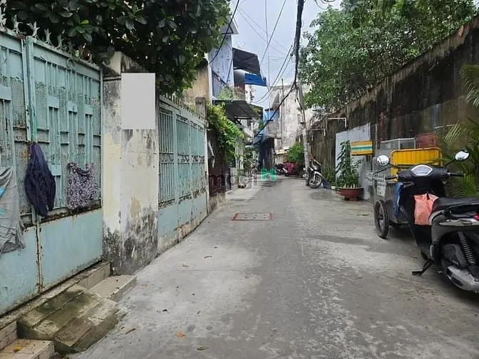 6037949 ảnh đại diện 1