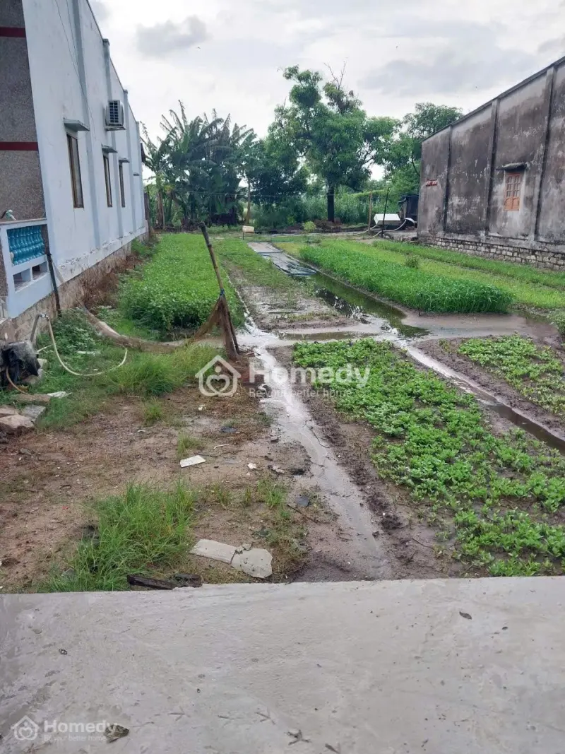 Bán 10M X 38M Đất Thổ Cư Hẻm Cmt8, Bình Tân, Lagi Giá Rẻ Nhất 1.3 Tỷ