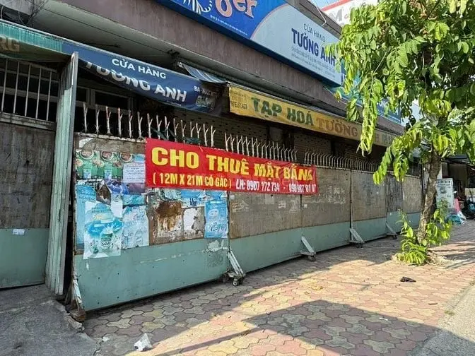 6038006 ảnh đại diện 1