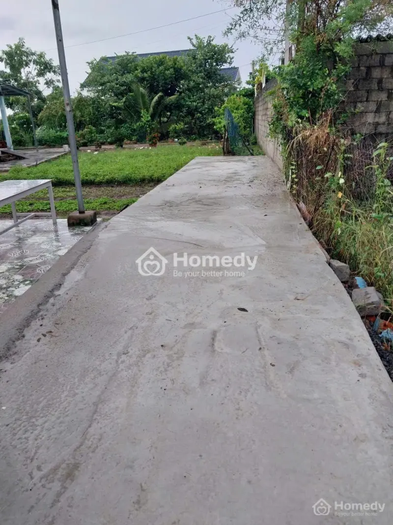 6038181 ảnh đại diện 1