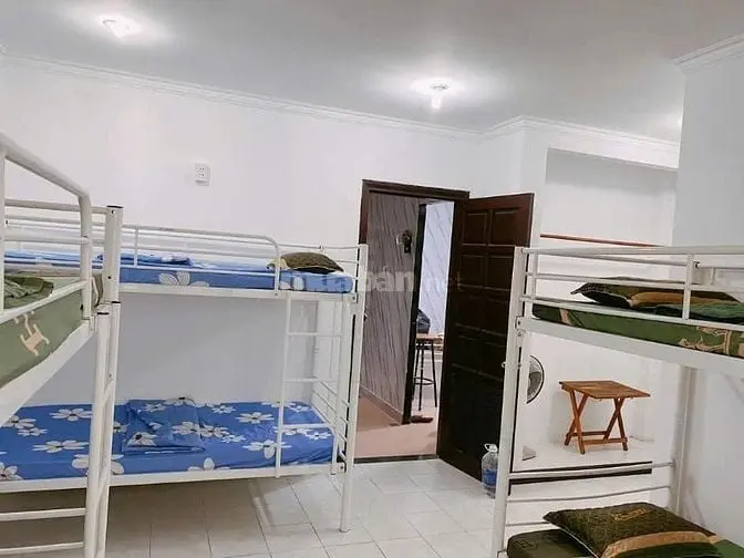 6037929 ảnh đại diện 1