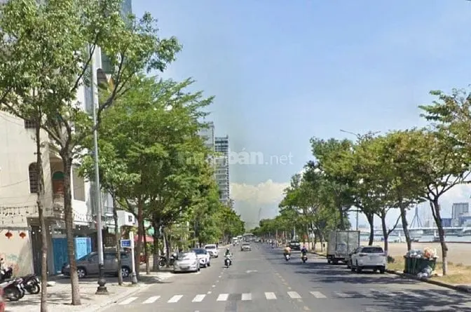 6037918 ảnh đại diện 1