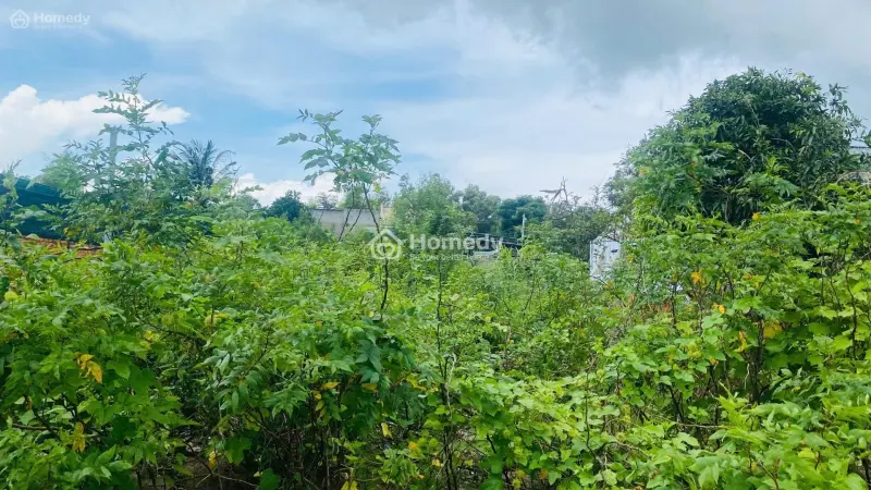 Bán Đất 6X37(224M2) Đoàn Thị Điểm Tân An Lagi Giá Ngộp
