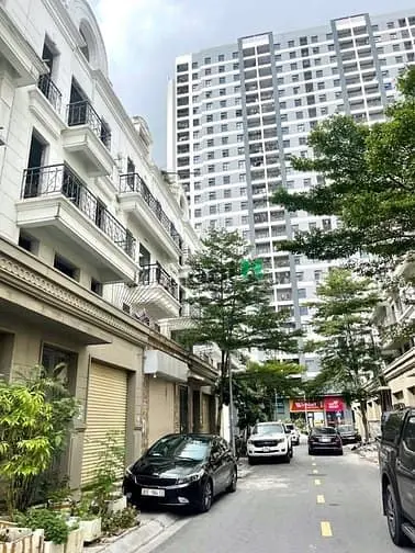 6037976 ảnh đại diện 1