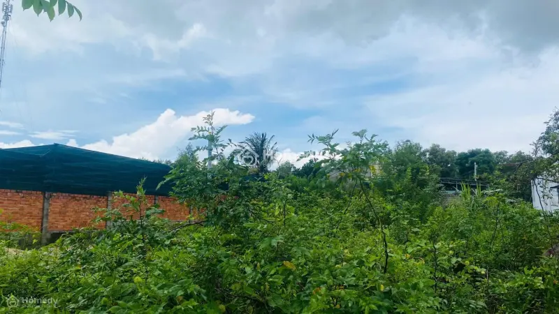 Bán Đất 6X37(224M2) Đoàn Thị Điểm Tân An Lagi Giá Ngộp