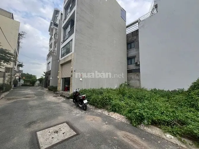 6038253 ảnh đại diện 1