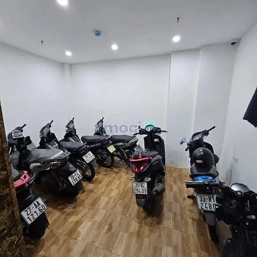 6038276 ảnh đại diện 1