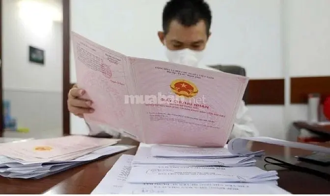 6038319 ảnh đại diện 1