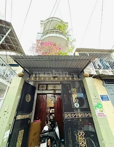 6038265 ảnh đại diện 1