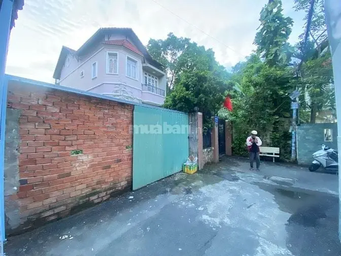 6038212 ảnh đại diện 1