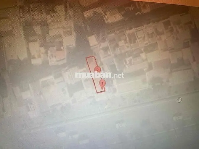 6038362 ảnh đại diện 1