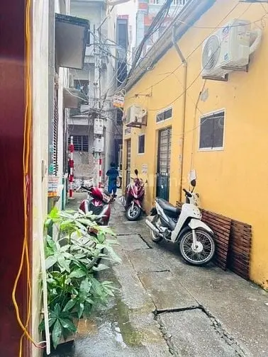6038270 ảnh đại diện 1