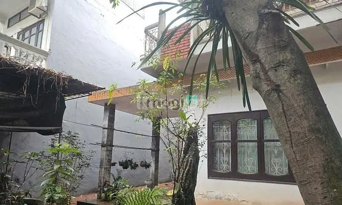 6038244 ảnh đại diện 1