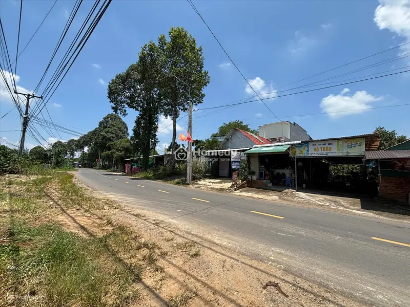 6038361 ảnh đại diện 1