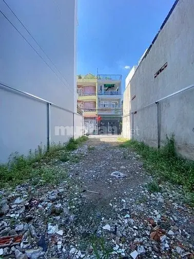 6038208 ảnh đại diện 1