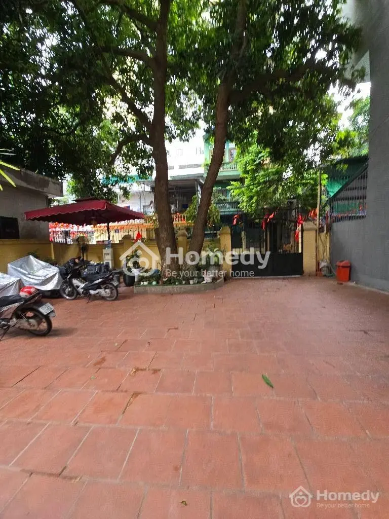 6038258 ảnh đại diện 1