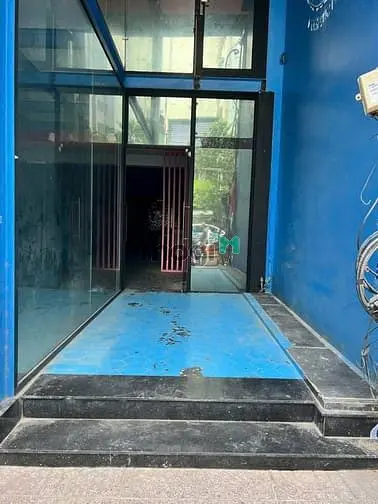 6038243 ảnh đại diện 1