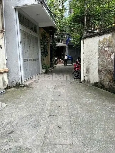 6038331 ảnh đại diện 1