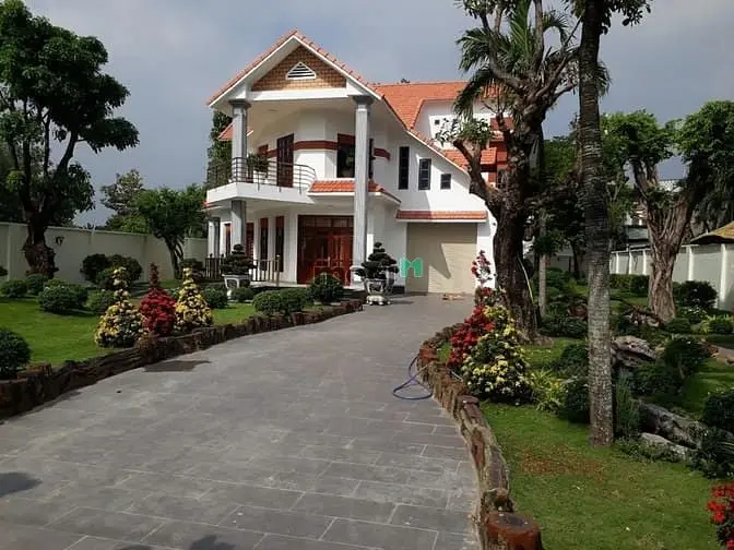 6038207 ảnh đại diện 1