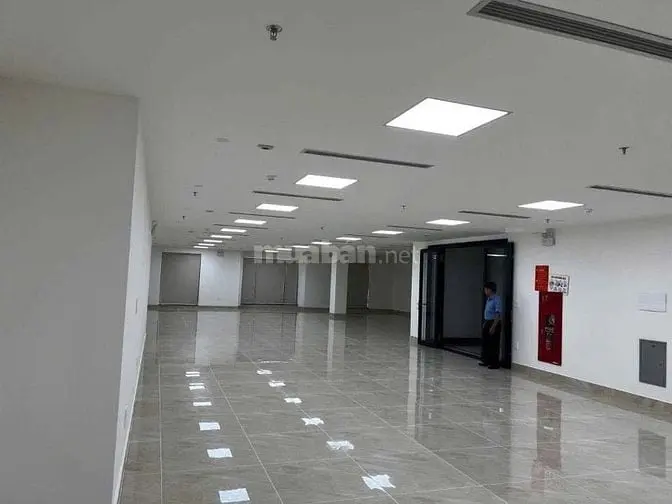 Tôi, Chính Chủ Cần Bán Toà Nhà Phố Hồ Xuân Hương, Q Hbt, Dt 400 M, 11