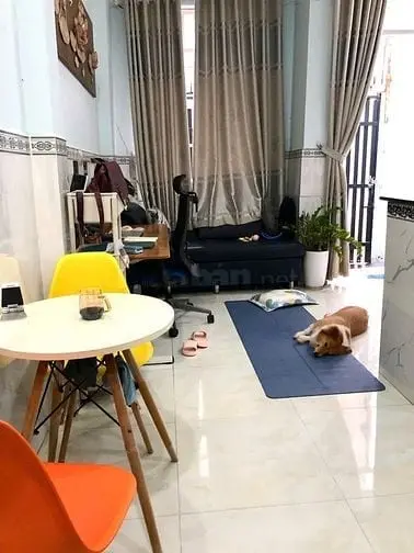 6038409 ảnh đại diện 1