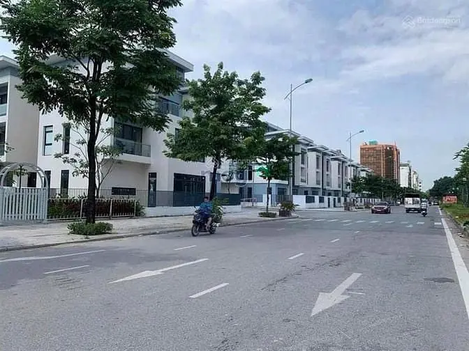 6038539 ảnh đại diện 1