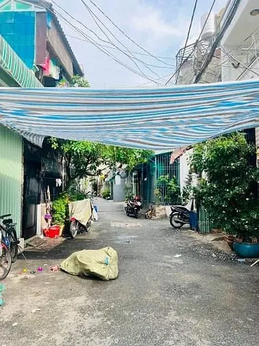 6038541 ảnh đại diện 1