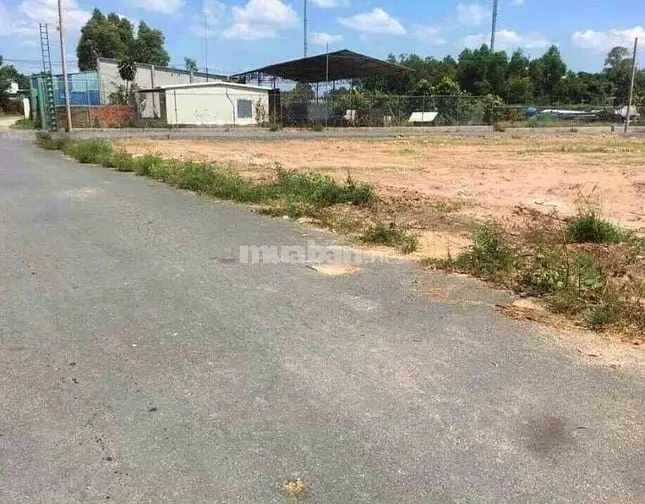 6038488 ảnh đại diện 1