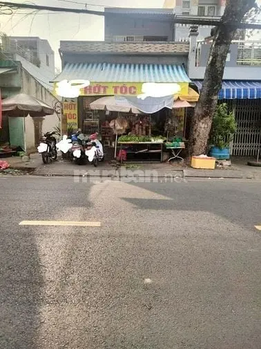 6038524 ảnh đại diện 1