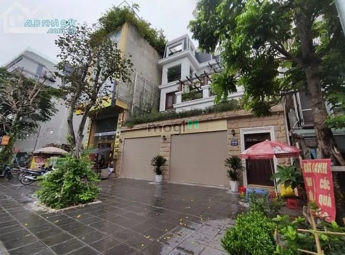 6038490 ảnh đại diện 1