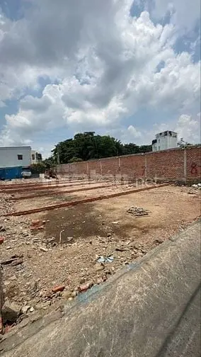 6038390 ảnh đại diện 1